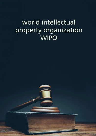 world intellectual property organization WIPO