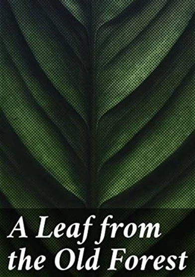 A Leaf from the Old Forest