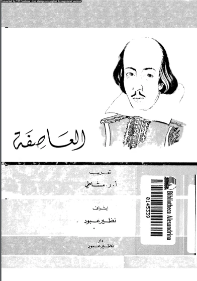 العاصفة