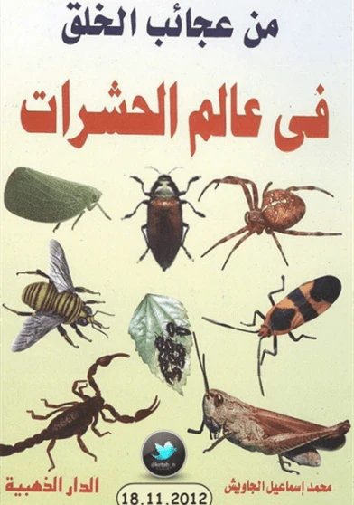 من عجائب الخلق في عالم الحشرات
