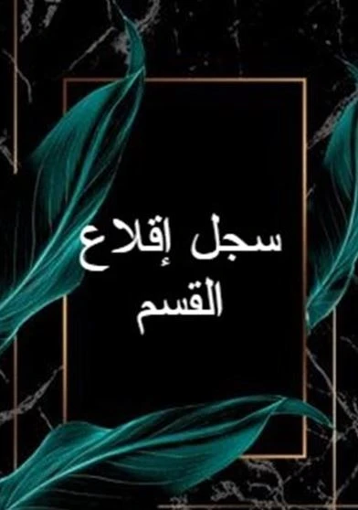 سجل إقلاع القسم