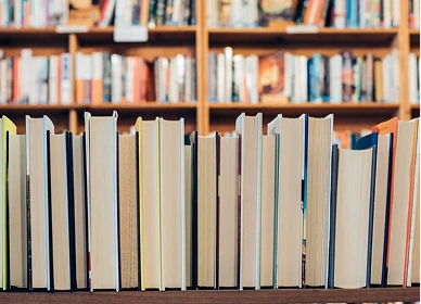 How to Build a Sustainable Reading Habit in the Age of Digital Distraction?